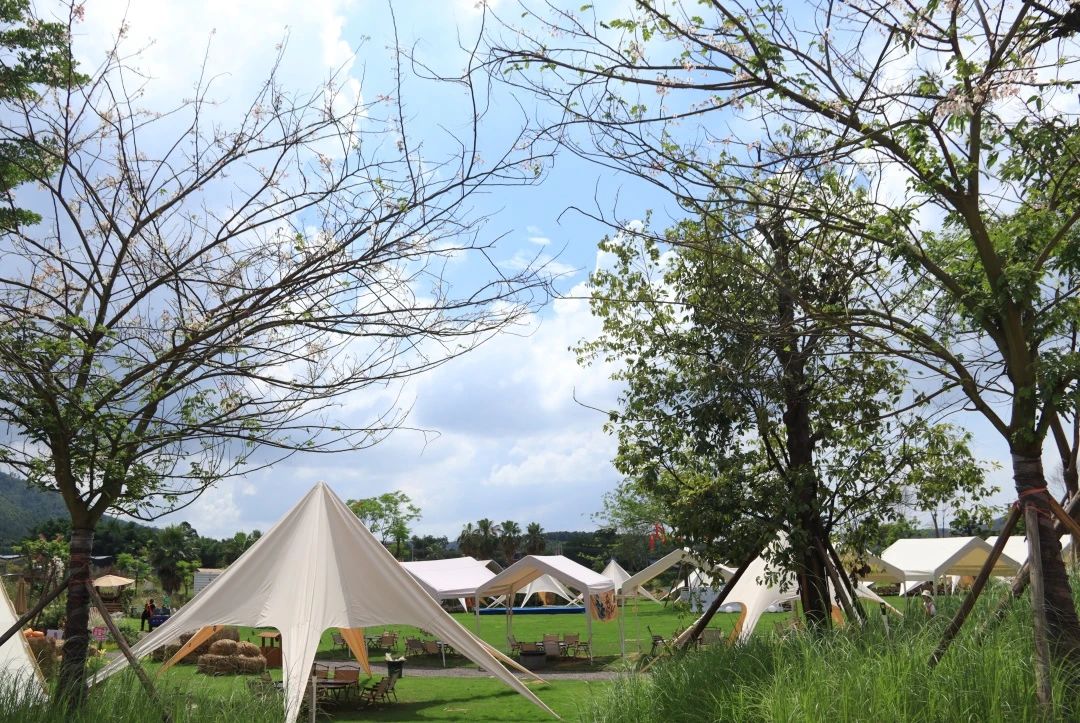 大红鹰dhy | 一群人，一个目标，一起成长！